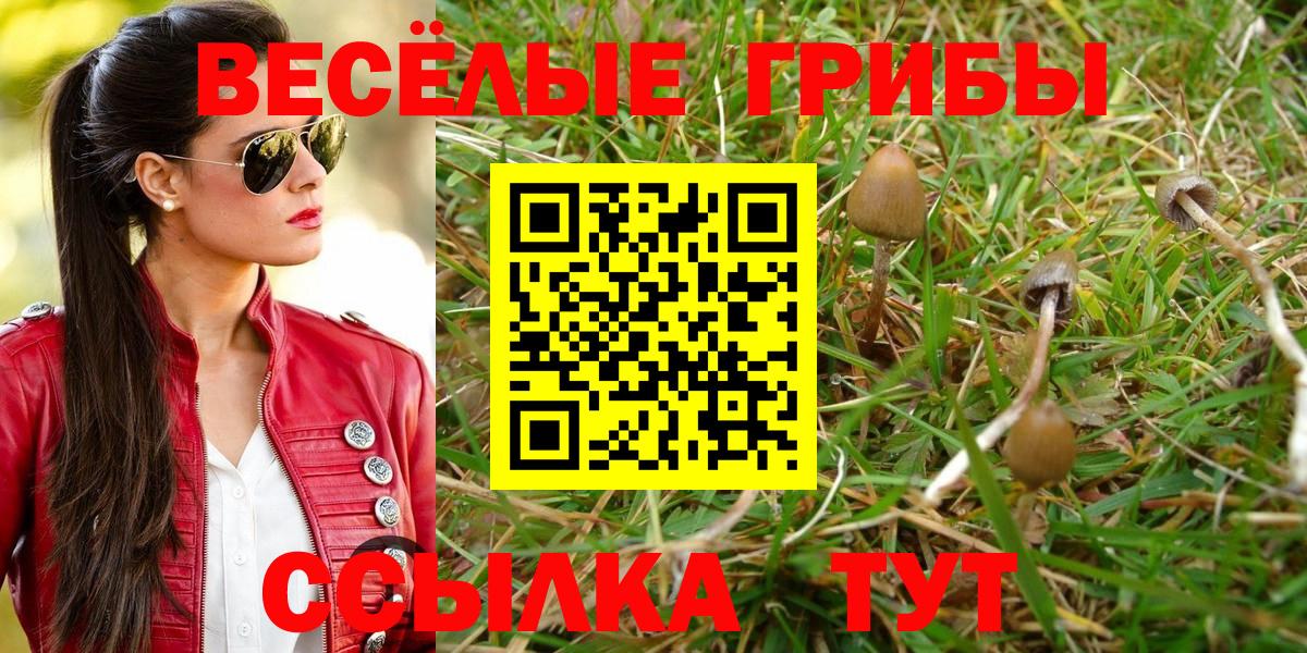 Алушта  Галлюциногенные грибы GOLDEN TEACHER  Вход с VPN 